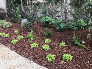 Landscape Maintenance Santa Barbara