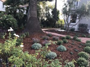 Landscape Maintenance Santa Barbara