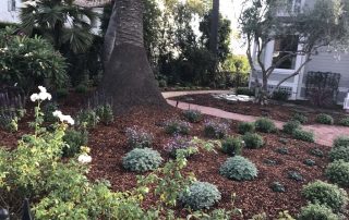 Landscape Maintenance Santa Barbara