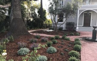 Landscape Maintenance Santa Barbara