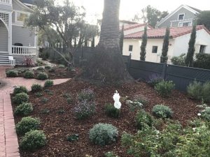 Landscape Maintenance Santa Barbara