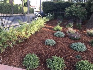 Landscape Maintenance