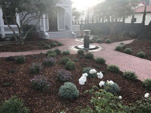 Landscape Maintenance Santa Barbara