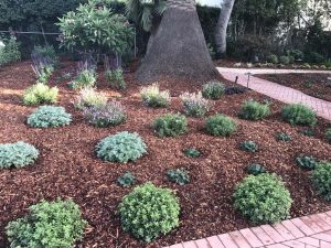 Landscape Maintenance