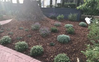 Landscape Maintenance