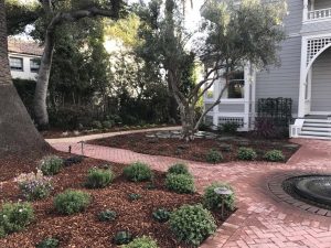 Landscape Maintenance SB