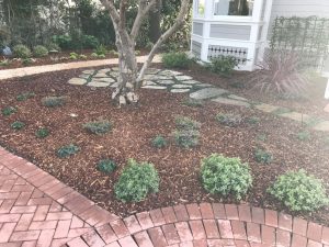 Landscape Maintenance SB