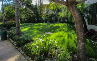 Artificial grass is the new green. Practically no maintenance and zero water.