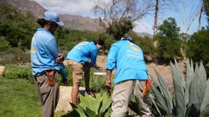 Assessing the drip irrigation system.