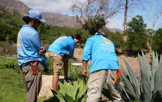 Assessing the drip irrigation system.