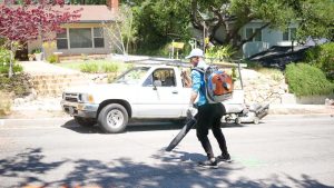 Blow the street to keep it clean.