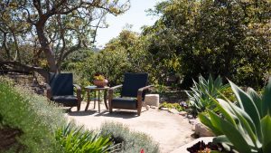 Landscape Maintenance Santa Barbara