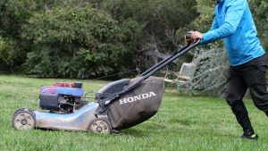 Lawn mowing in Santa Barbara isn_t as frequent since the drought began (2)