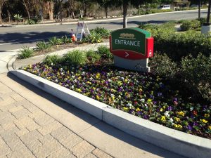 landscaping santa barbara ca