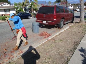 Raking the leaves from the street.