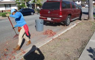 Raking the leaves from the street.