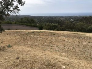 brush clearing