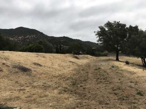 brush clearing