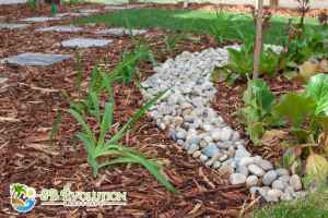 free mulching service