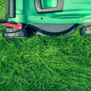 Lawn Care Santa Barbara