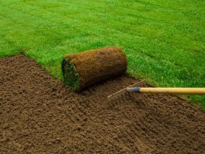 Rolling Out a New Look - How to Prepare to Lay Sod