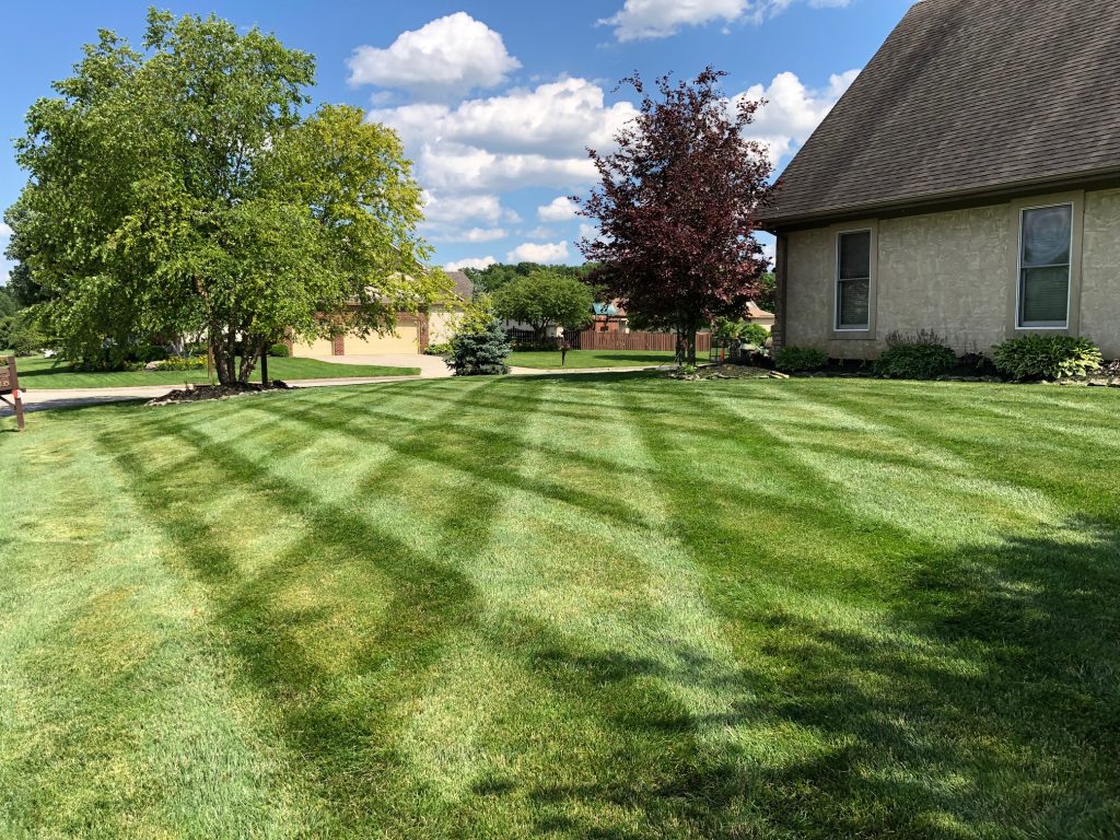Good on sale lawn care