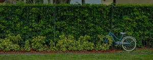 LANDSCAPE MAINTENANCE