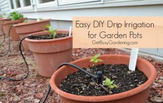 Using Drip Irrigation to Water Your Container Garden