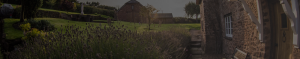landscape maintenance near me