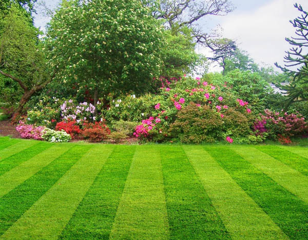 lawn-care