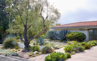 Drought-Tolerant Landscaping The Eco-Friendly Solution for Californian Homes 2