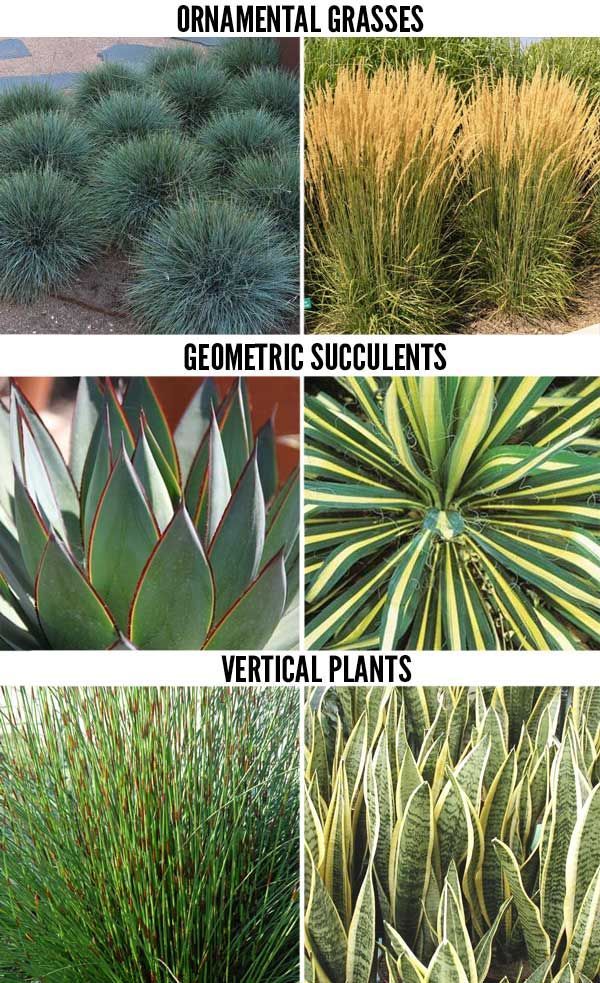 Drought-Tolerant Landscaping