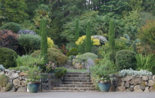 Mediterranean Garden Design