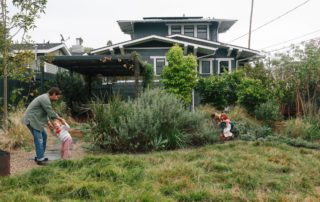 Native Plant Landscaping Sant Barbara