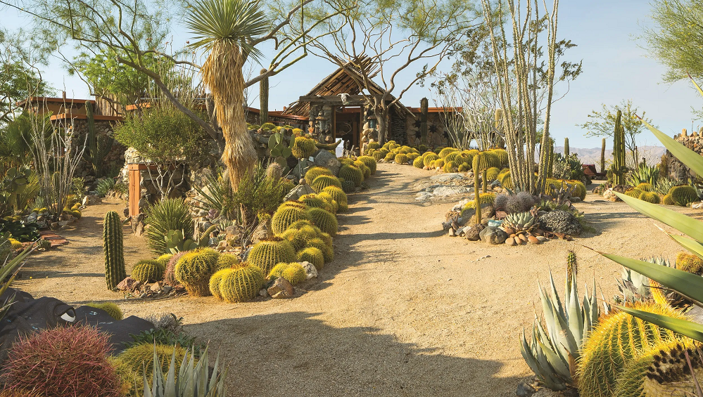 Desert Landscaping