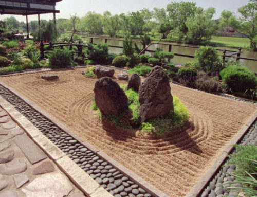 Zen Gardens: Cultivating Tranquility and Serenity in California Landscapes