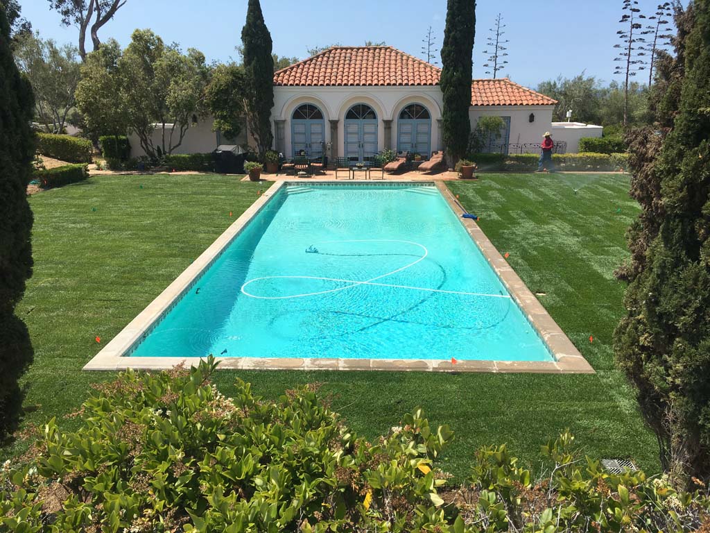 sod installation cost