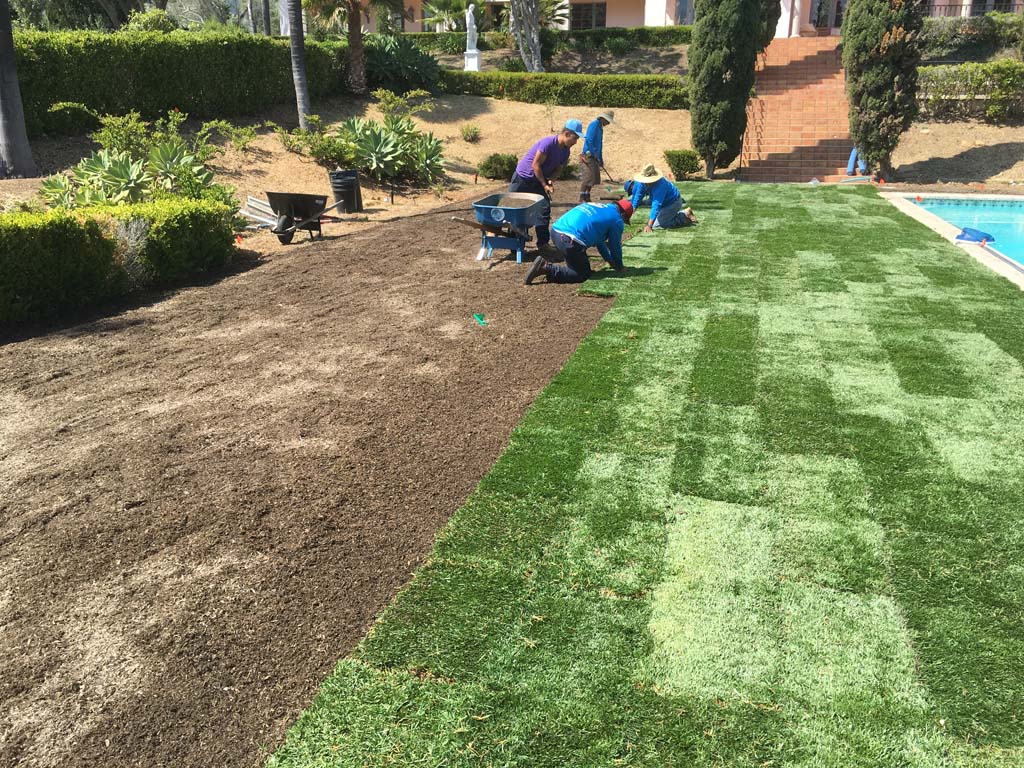 sod installation